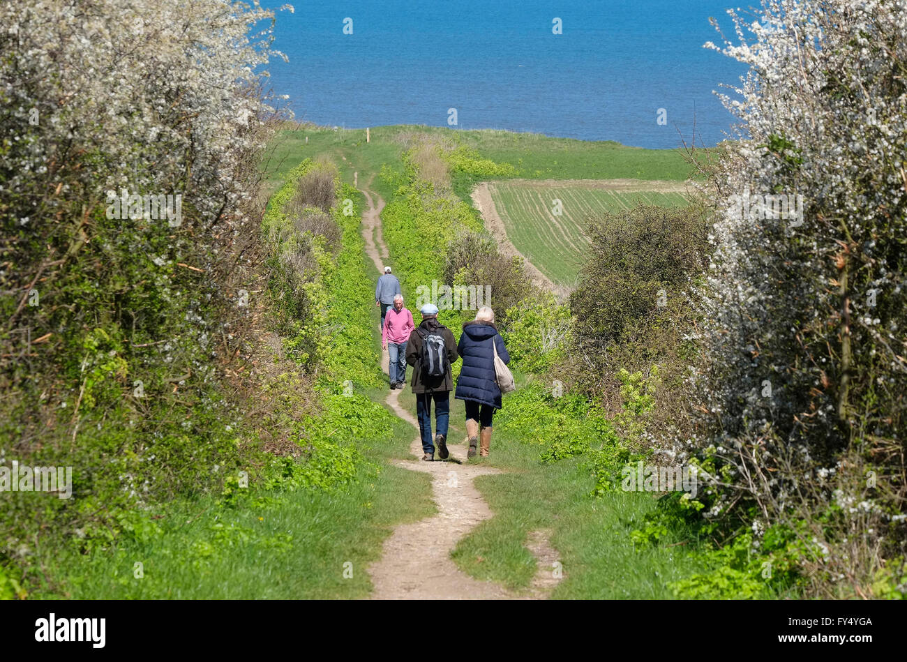 north norfolk coastal path at sheringham, norfolk, england Stock Photo