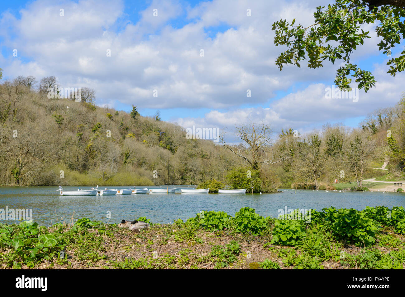 Boating lake uk hi-res stock photography and images - Alamy