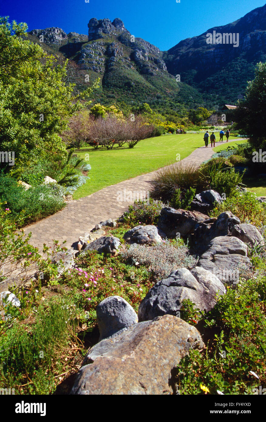 Visitors on pathway; Kirstenbosch National Botanical Garden; outside Cape Town; Cape Peninsula; South Africa Stock Photo