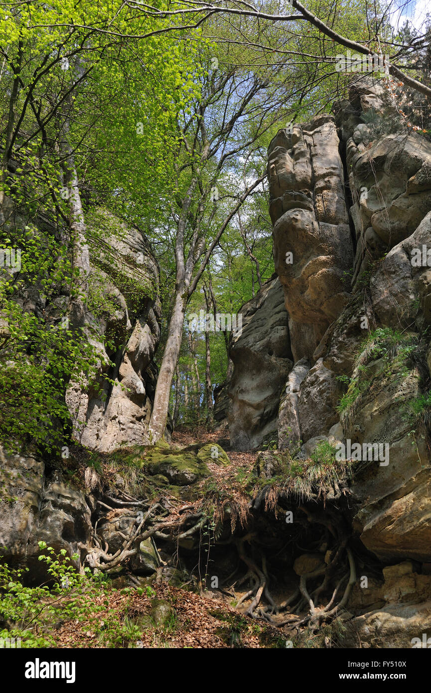 The sandstone rock formation Perekop in Berdorf, Little Switzerland  / Mullerthal, Grand Duchy of Luxembourg Stock Photo