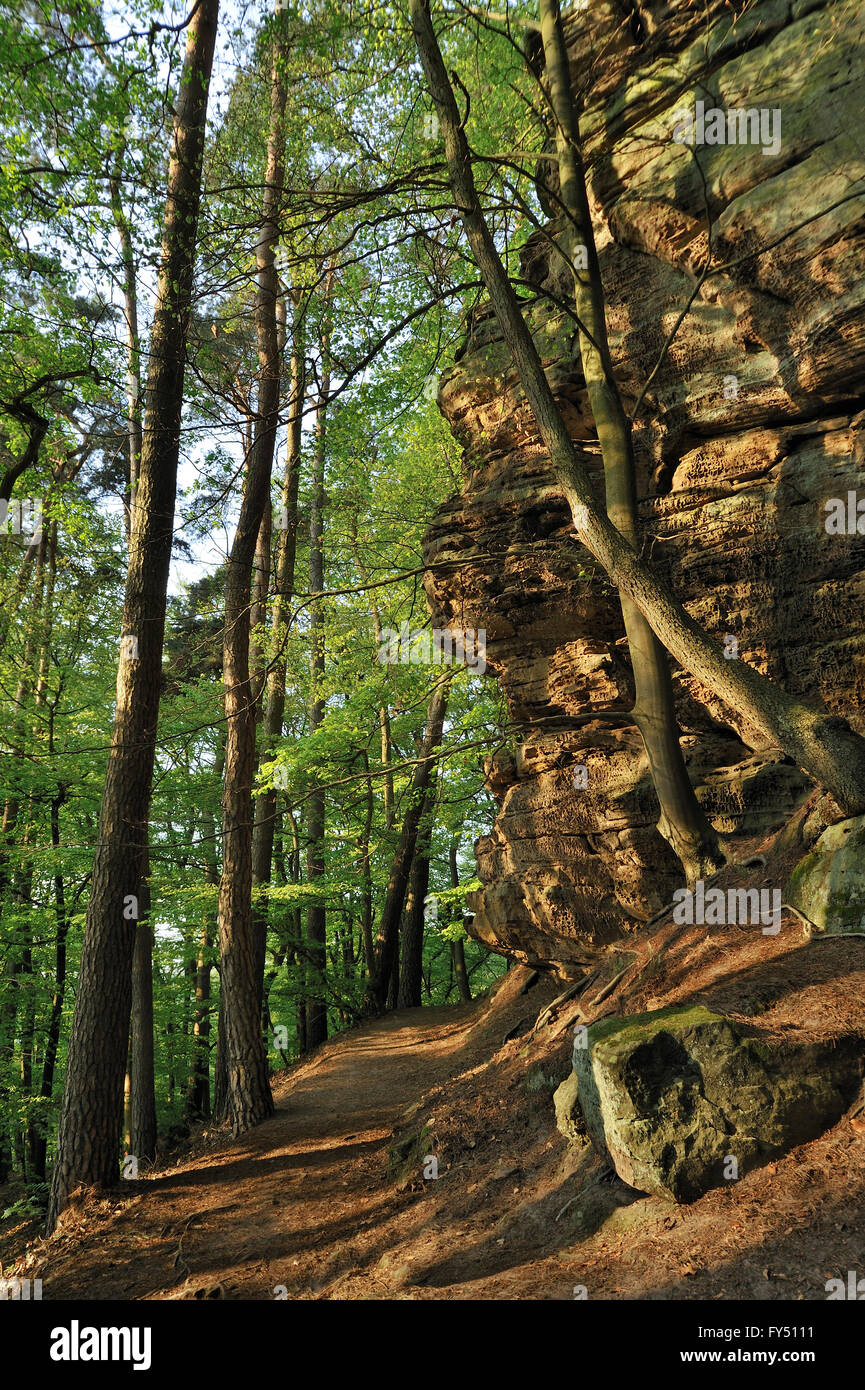 The sandstone rock formation Wanterbaach in Berdorf, Little Switzerland  / Mullerthal, Grand Duchy of Luxembourg Stock Photo