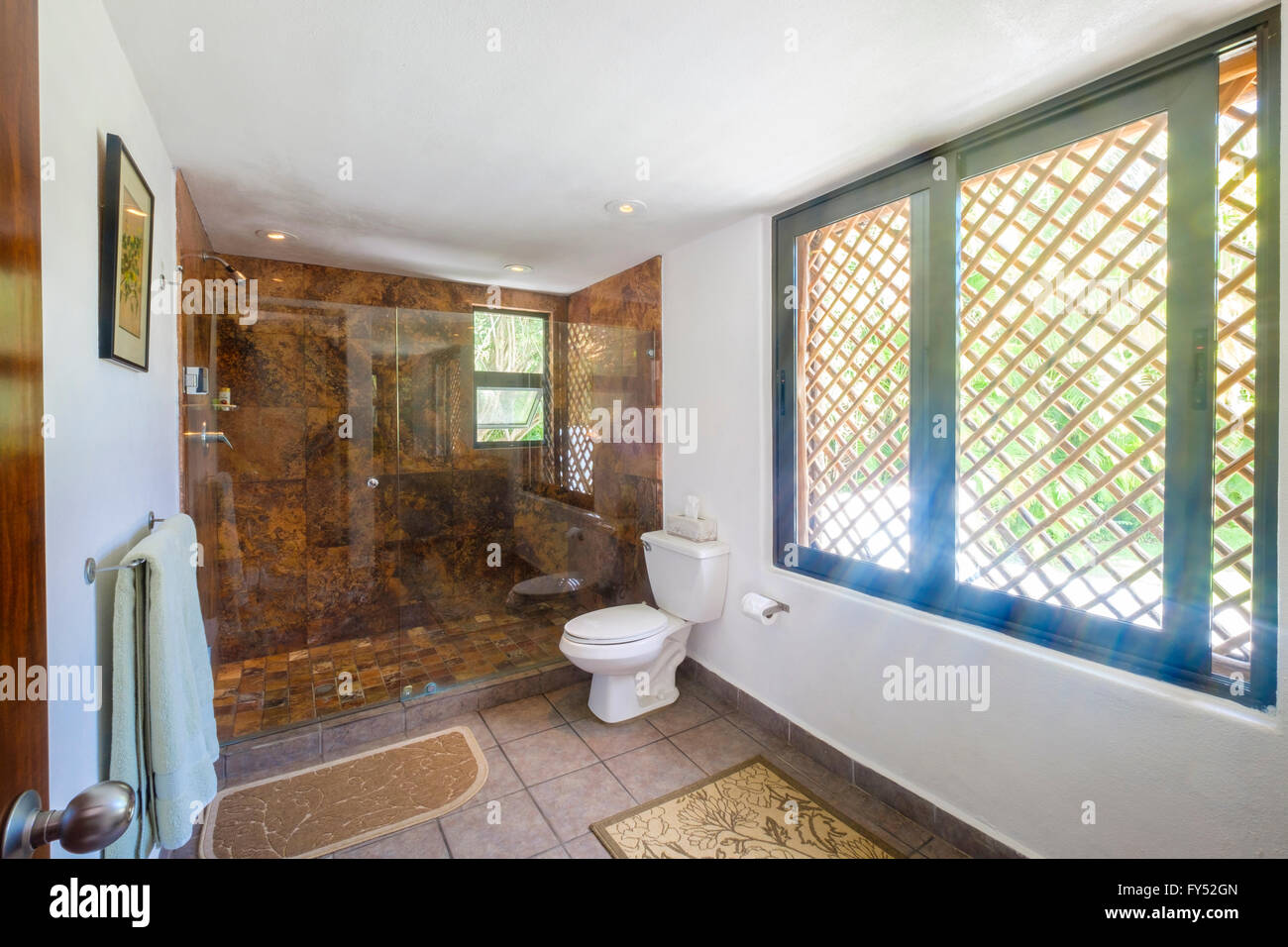 Upscale Mexican Residence - Bathroom with shower stall and toilet, Punta de Mita, Riviera Nayarit, Mexico Stock Photo
