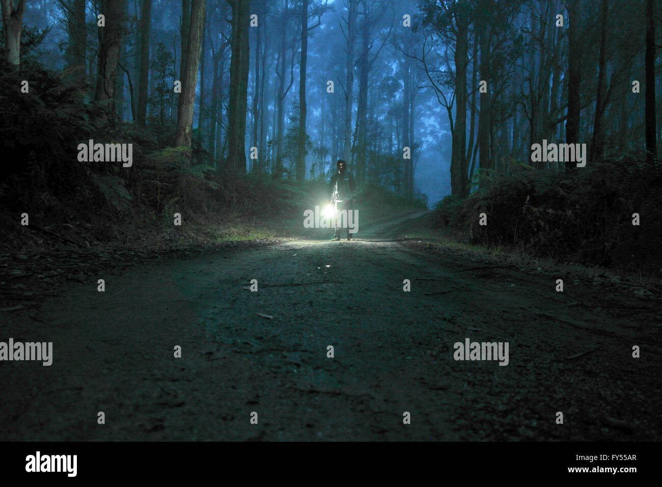 Man standing in a foggy forest hi-res stock photography and images - Alamy