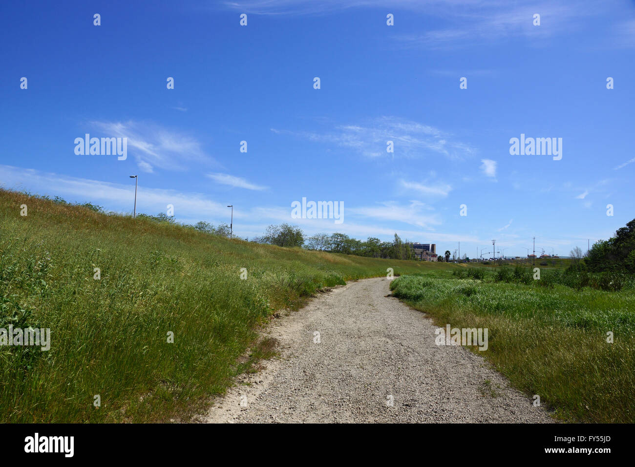 Pebbled path surrounded by grass along Coyote Creek in San Jose, California. Stock Photo