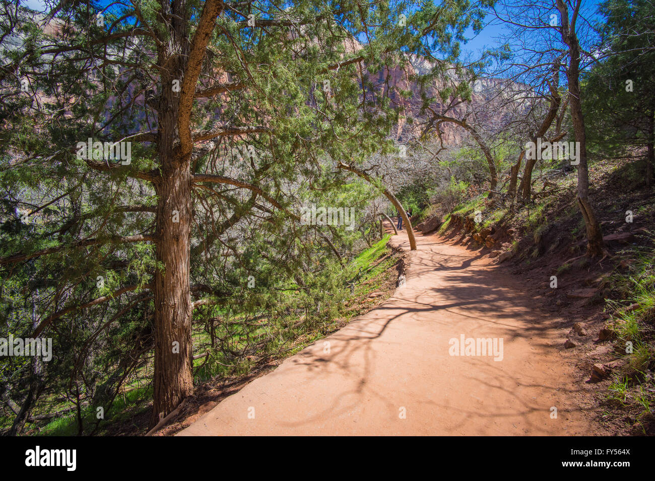 Hiking trail bends around a corner in Zion National Park in southern Utah. Stock Photo