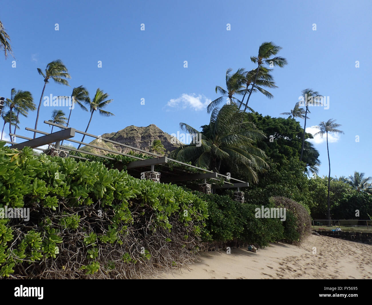 Makalei Beach with waves lapping, napakaa, and coconut trees along the shore on a wonderful day in Oahu, Hawaii.  January 2015. Stock Photo