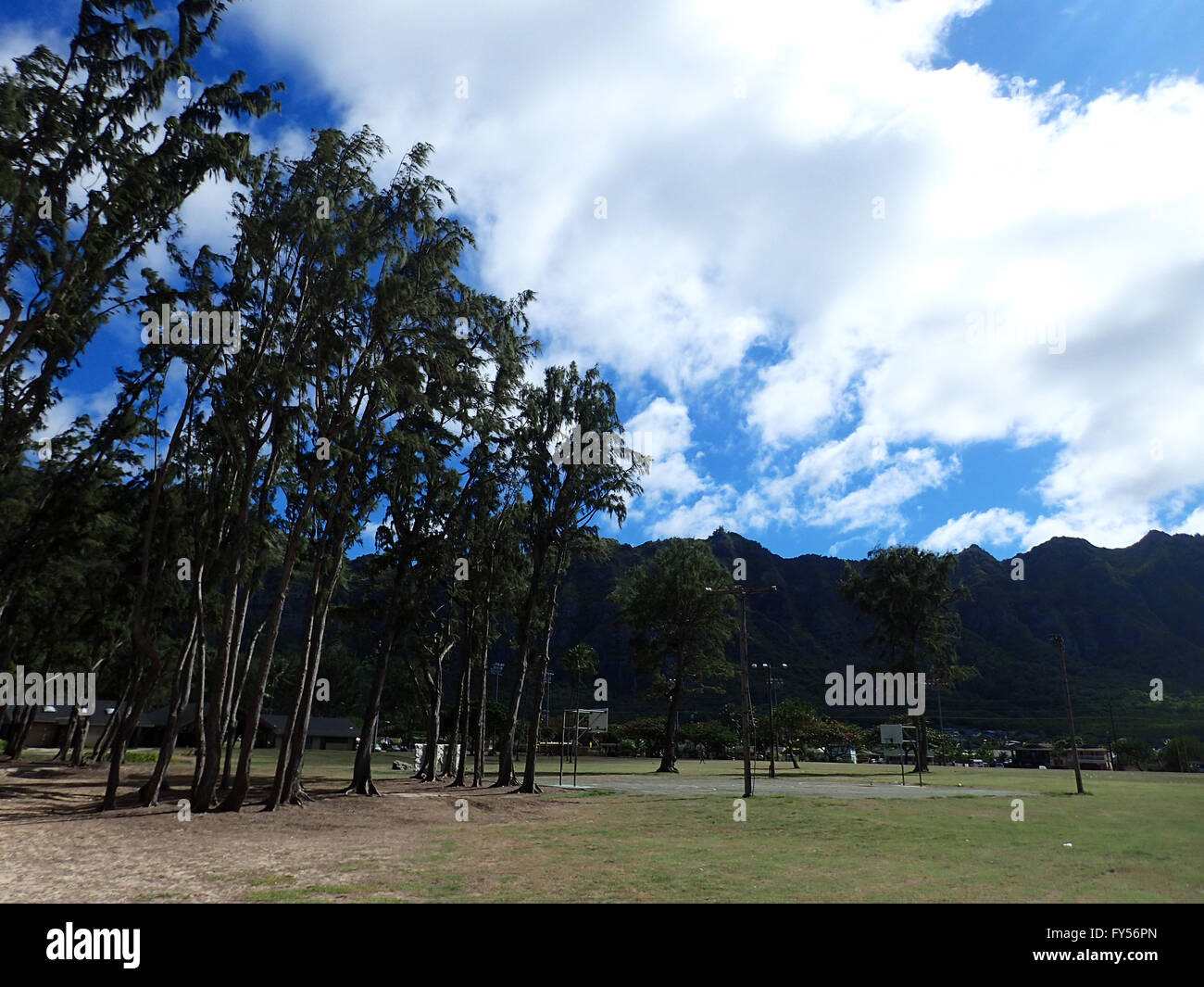 Old rusty Empty Outdoor Basketball Court next to irowood trees during the day with Mountain range in the background in Waimanalo Stock Photo