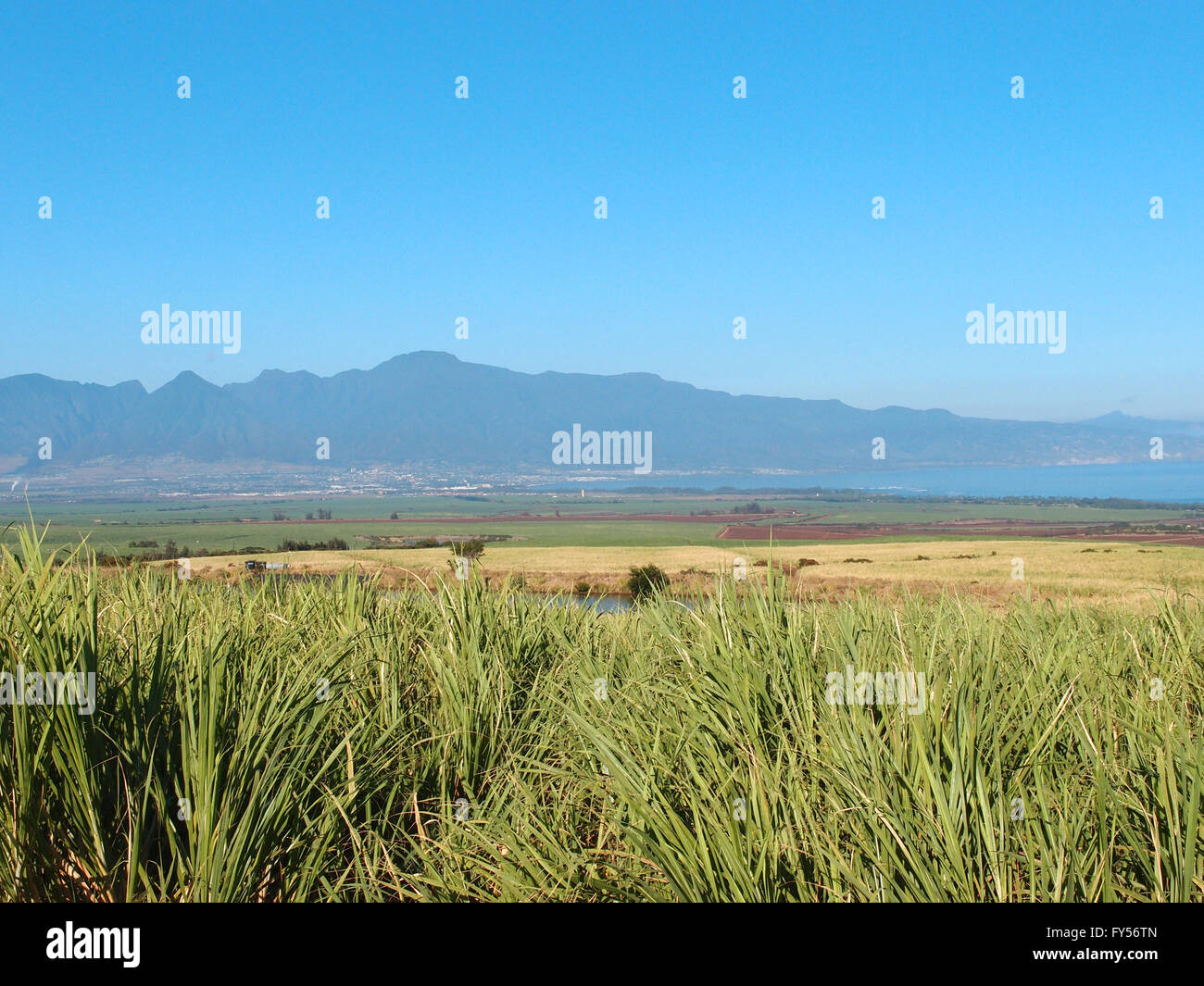 Maui Landscape view of sugarcane crops, mountains, coast, and ocean in Kahului, Maui, Hawaii on as beautiful day. Stock Photo