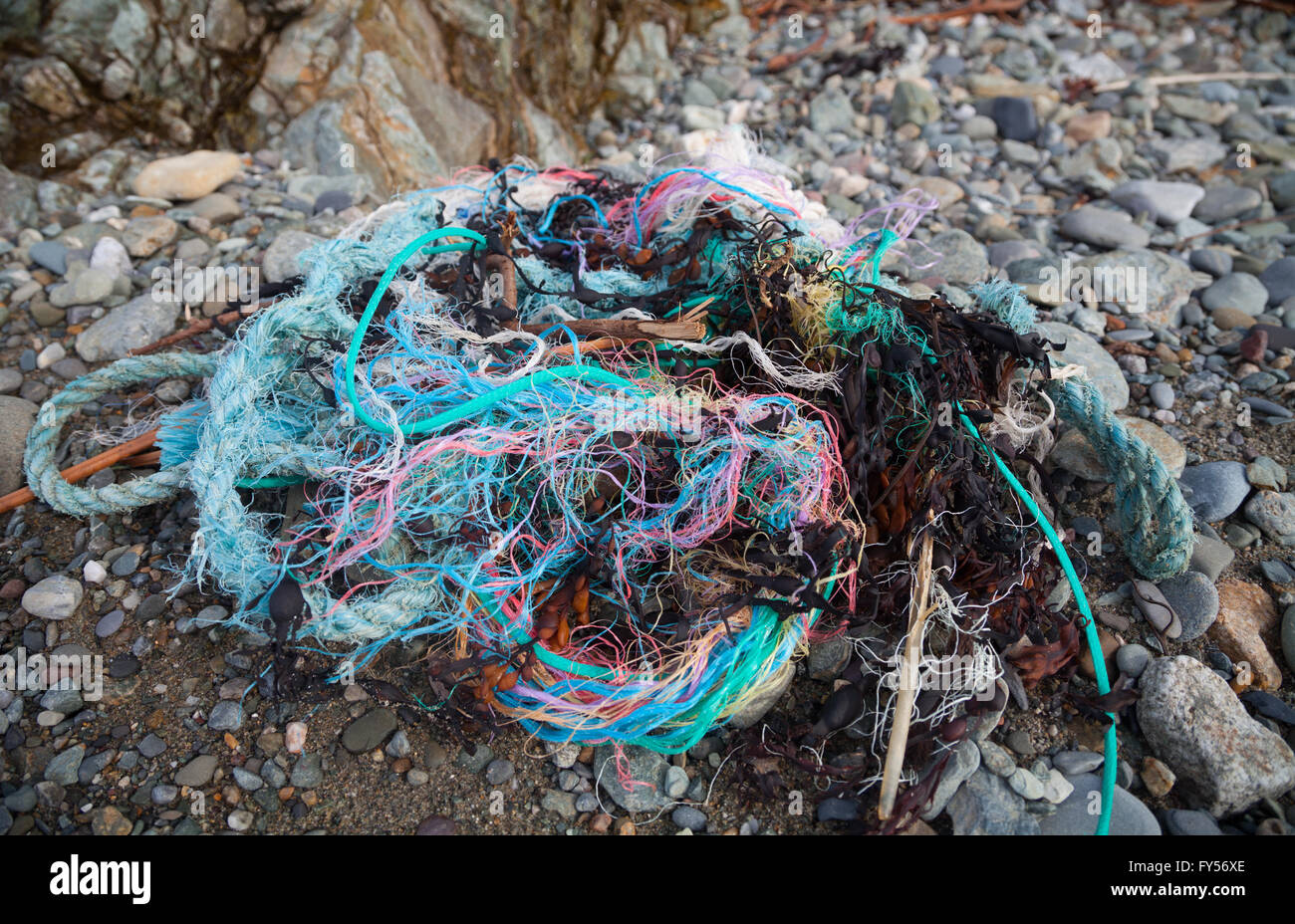 Colourful twisted rope, fishing line, plastic, string and seaweed found on  Traeth Penllech Beach at the high tide mark Stock Photo - Alamy