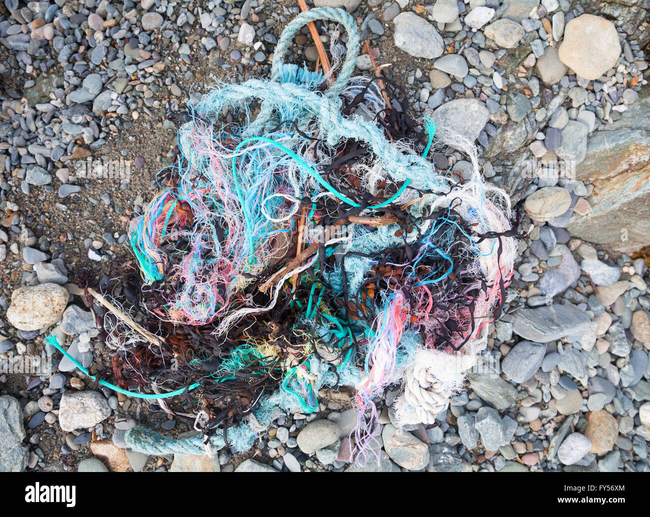 Colourful twisted rope, fishing line, plastic, string and seaweed found