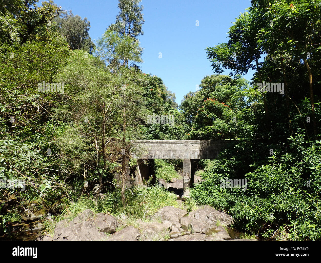 Bridge over small stream in forest in Maui on the Road to Hana. Stock Photo