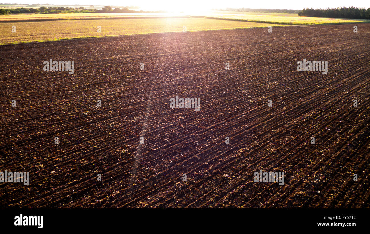 areal shot of fresh plowed field against green and greener field in light from rising sun at dawn in Heodspruit South Africa Stock Photo