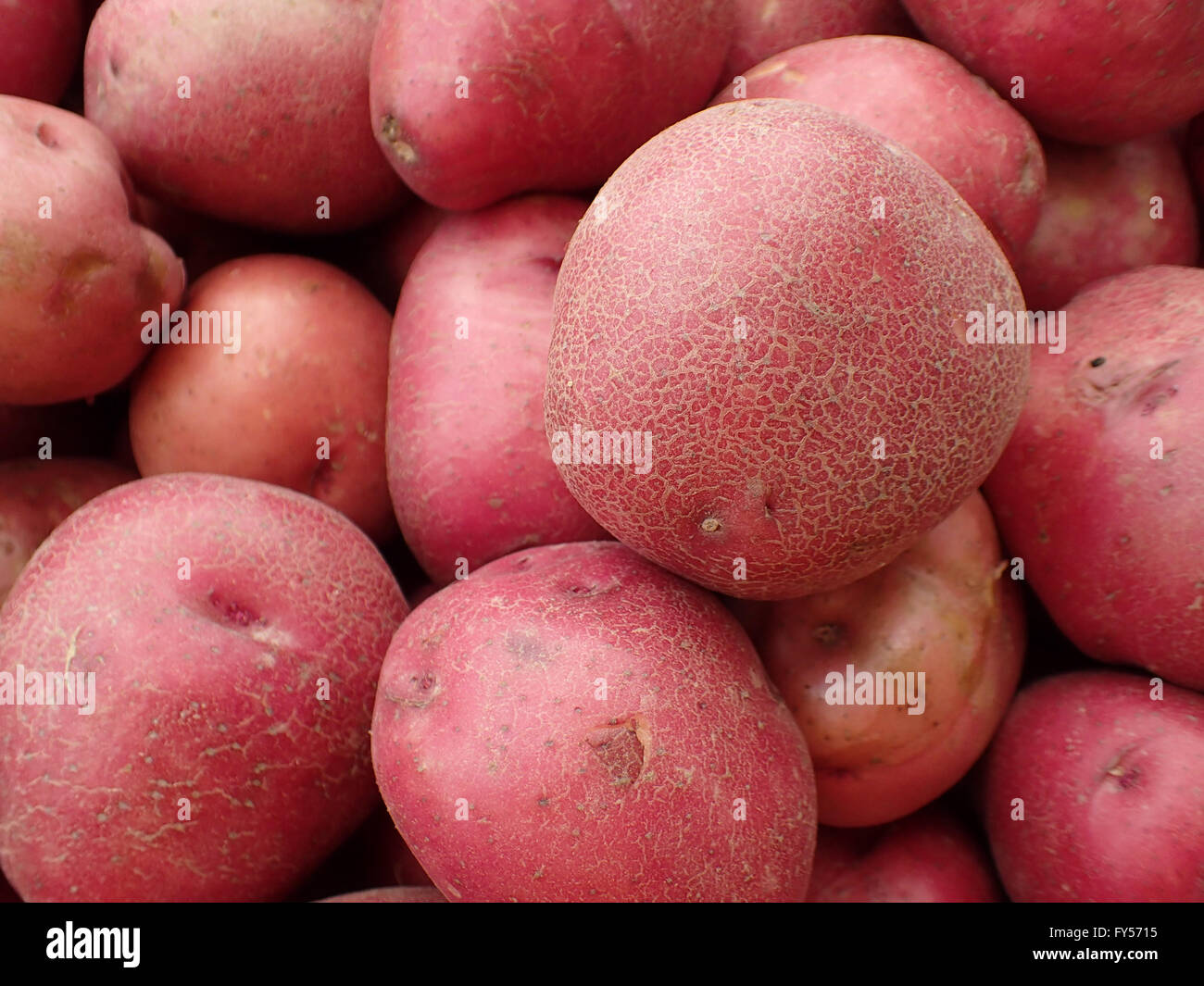 Pile of Red Potatoes for sale at farmers market in Maui, Hawaii. Stock Photo