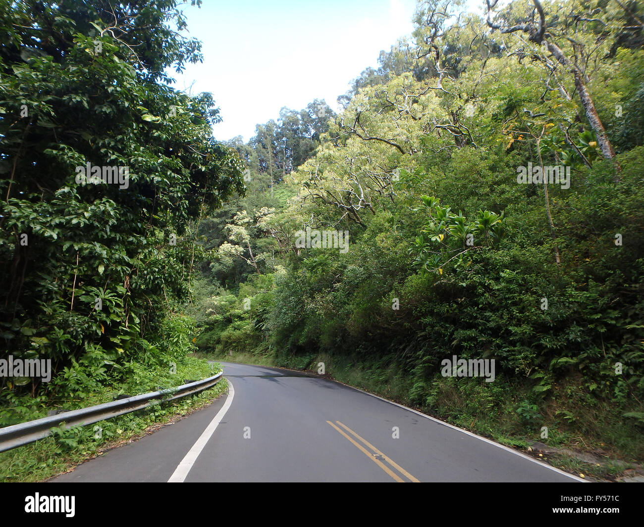 A beautiful view of road to Hana from the island of Maui Hawaii, showing its diversity of nature, lush tropical green foliage, a Stock Photo