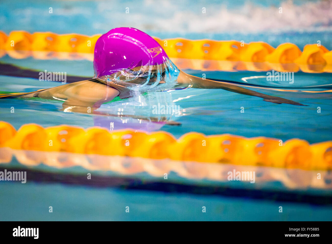 GLASGOW, UK: April, 17, 2016 Siobhan-Marie O'Connor competes at the British Swimming Championships Stock Photo