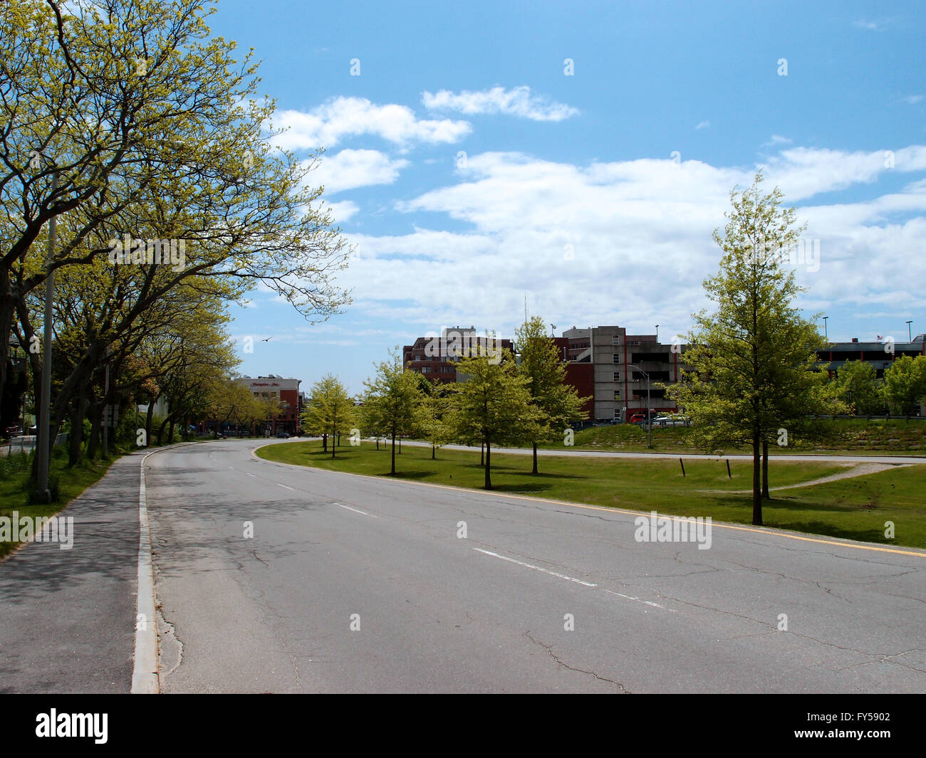 Highway one road surrounded by trees, clouds, and bird flying in the air in Portland, Maine. Stock Photo