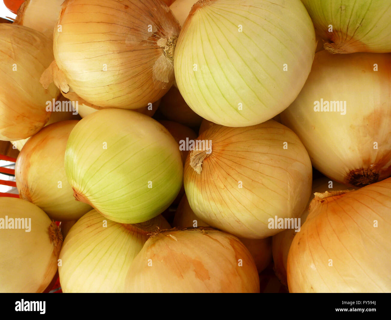 Pile of Fresh Onions for sale at Market Stock Photo Alamy