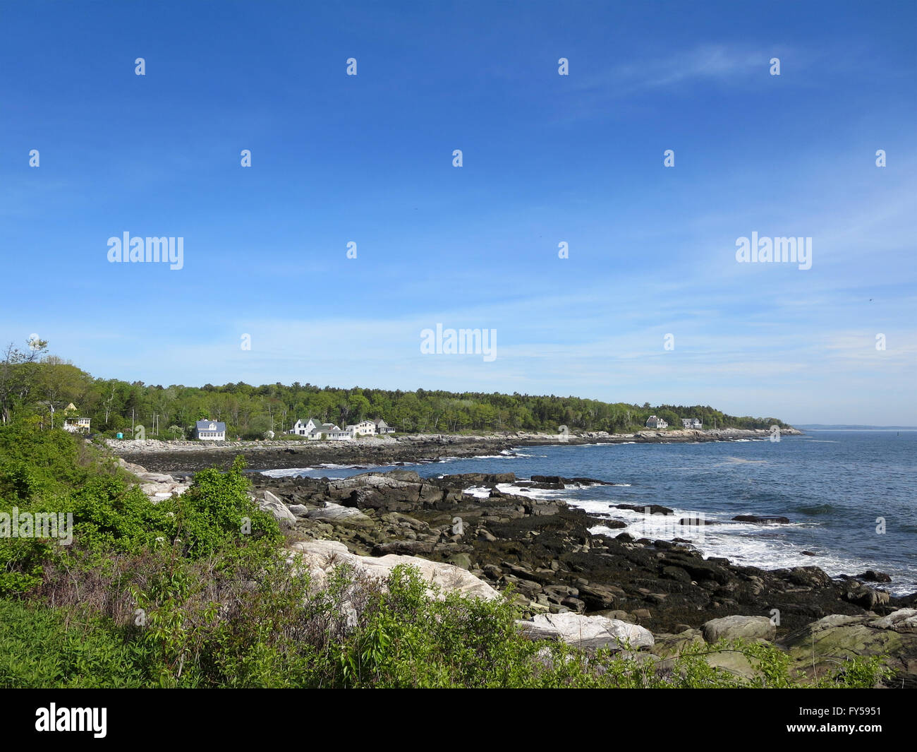 Peaks Island rocky Shoreline with trees and houses in Maine Stock Photo