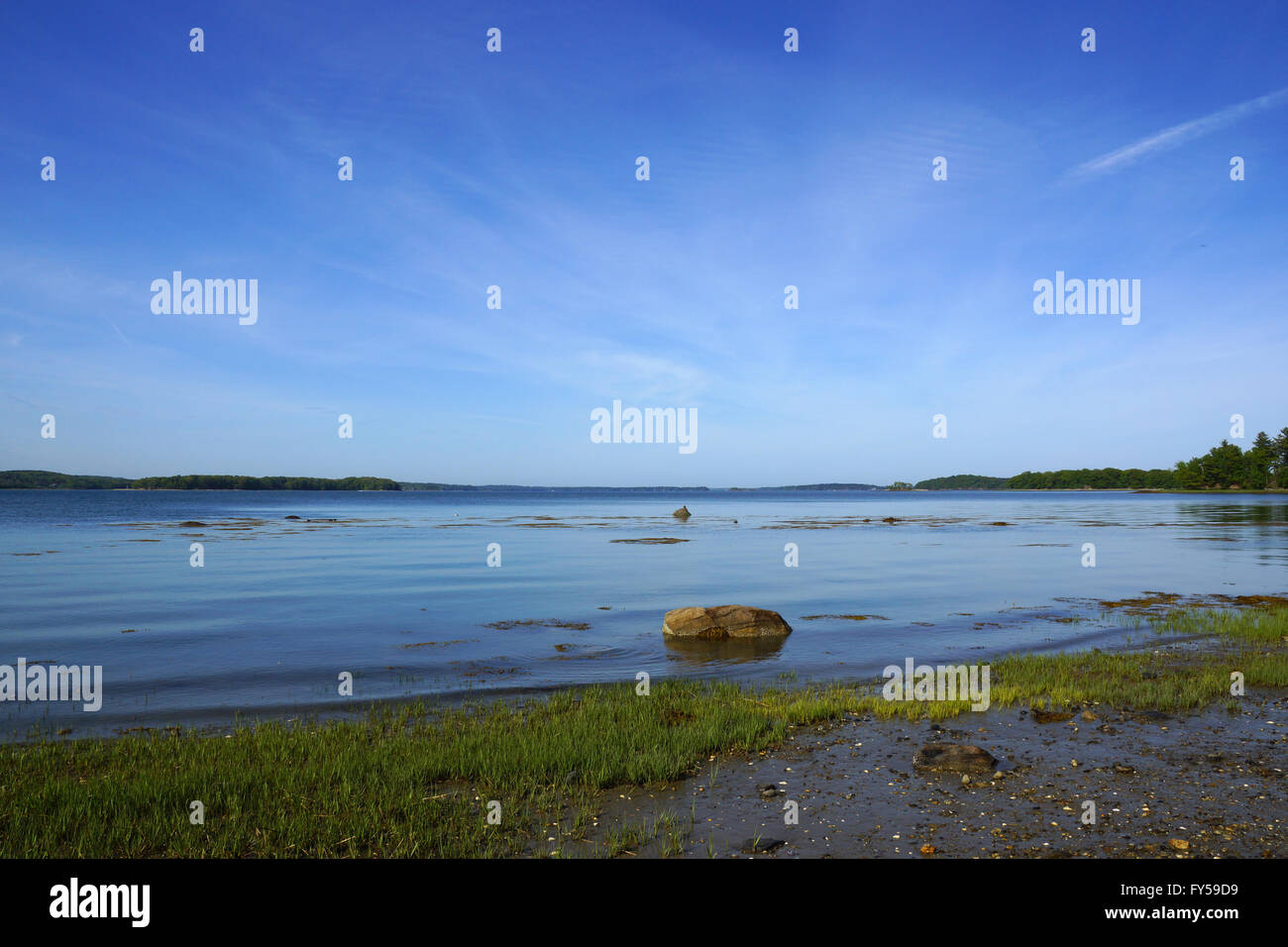 Grass and rocks in shallow waters off coast of Cousins Island, Yarmouth, Maine. Stock Photo