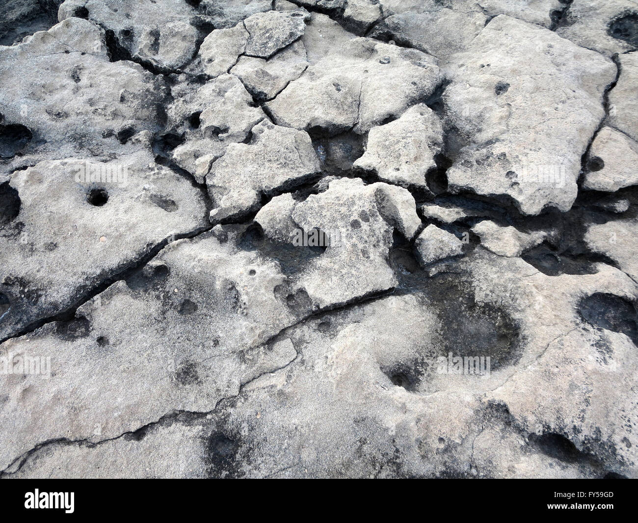 Volcanic stone texture washed by years of ocean water on Oahu, Hawaii. Stock Photo