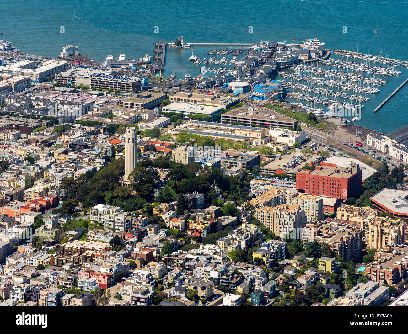 Aerial view, Coit Tower, look-out, district of North Beach, San Francisco, San Francisco Bay Area, California, USA Stock Photo
