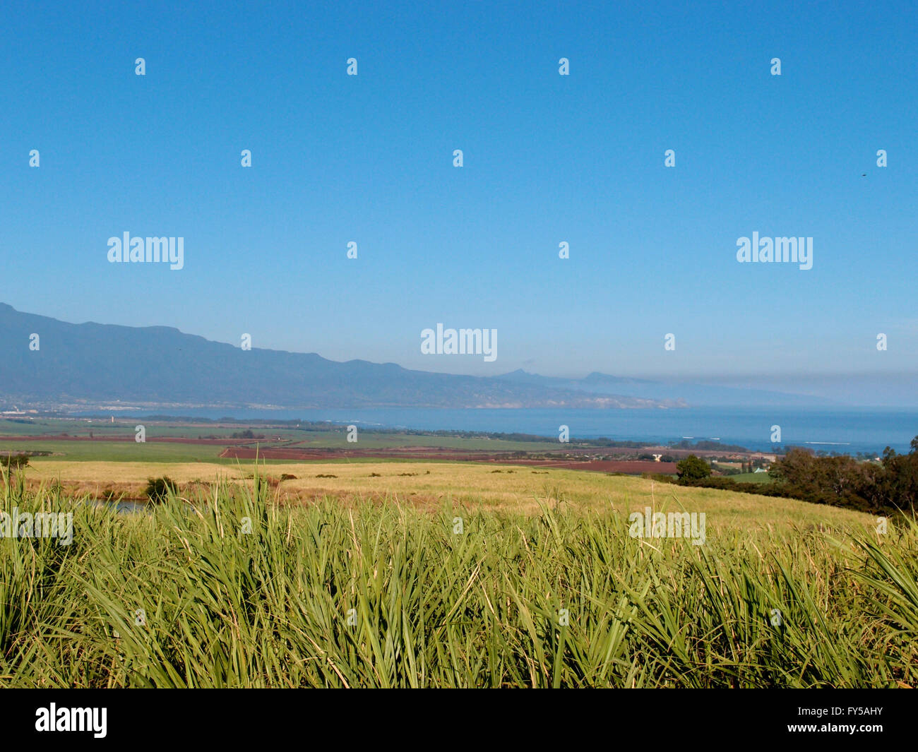 Maui Landscape view of sugarcane crops, mountains, coast, and ocean in Maui, Hawaii on as beautiful day. Stock Photo