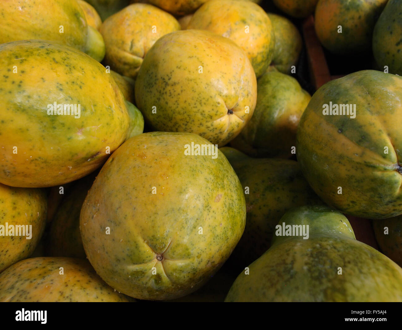 Papaya tree hawaii hires stock photography and images Alamy