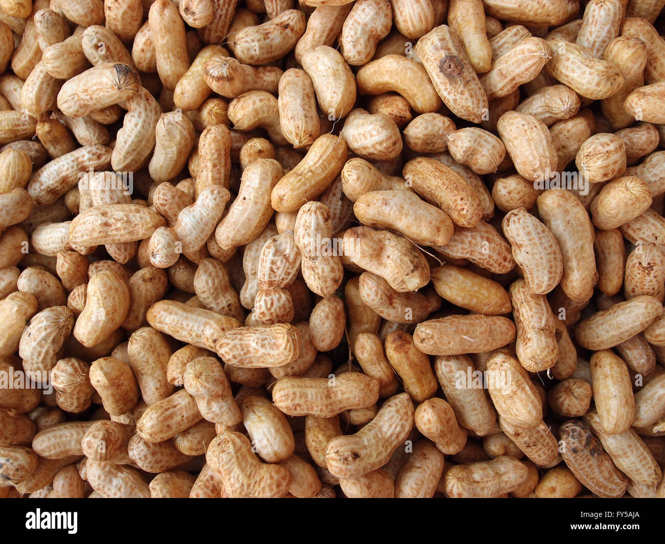 Many peanuts in shells for sale at Farmers Market in Honolulu, Hawaii