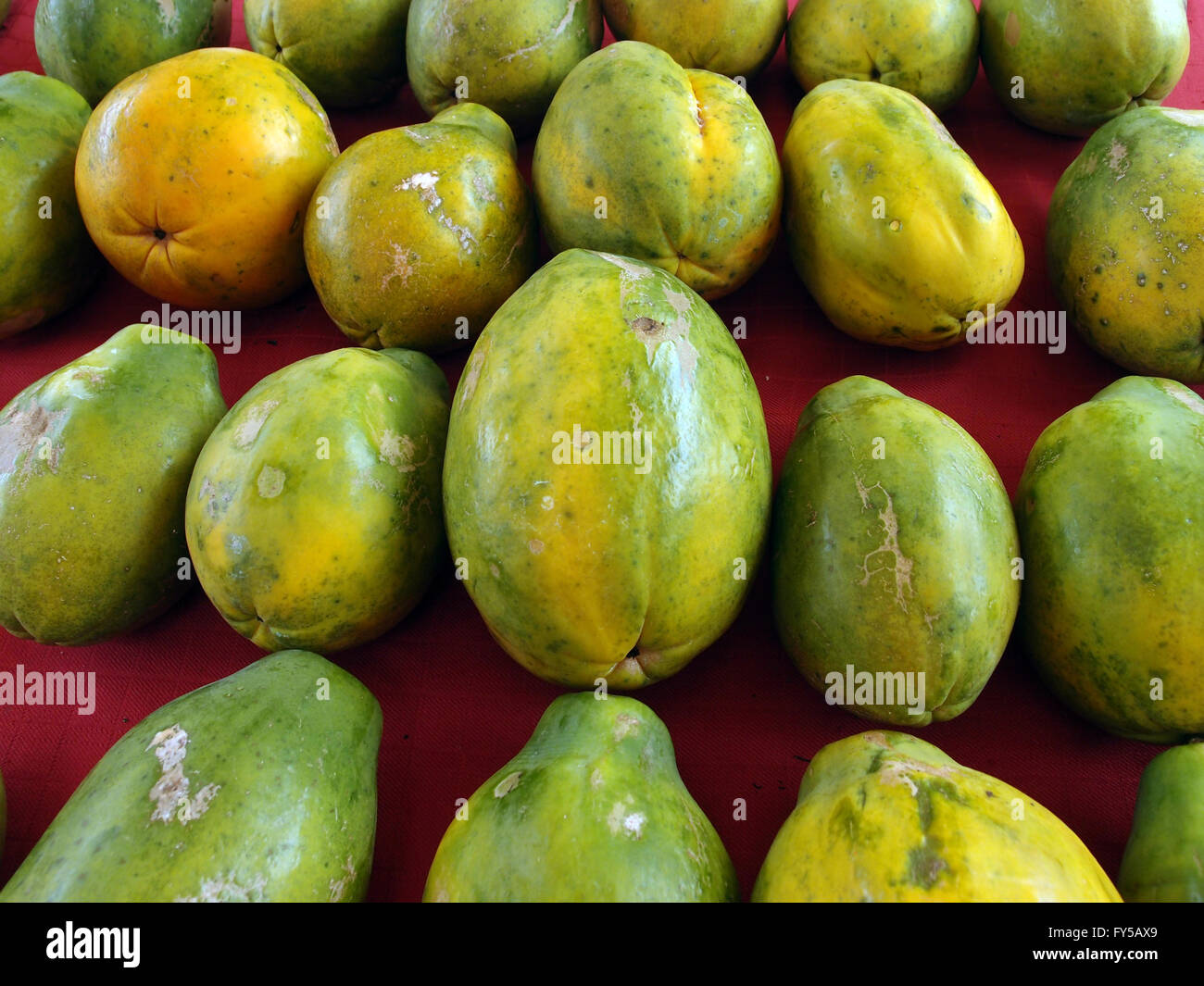 Papaya tree hawaii hires stock photography and images Alamy