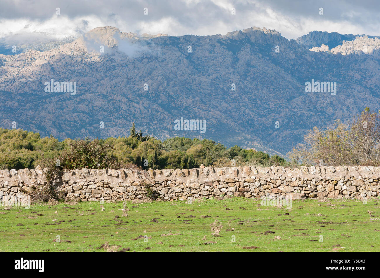Stone wall in the field Stock Photo - Alamy