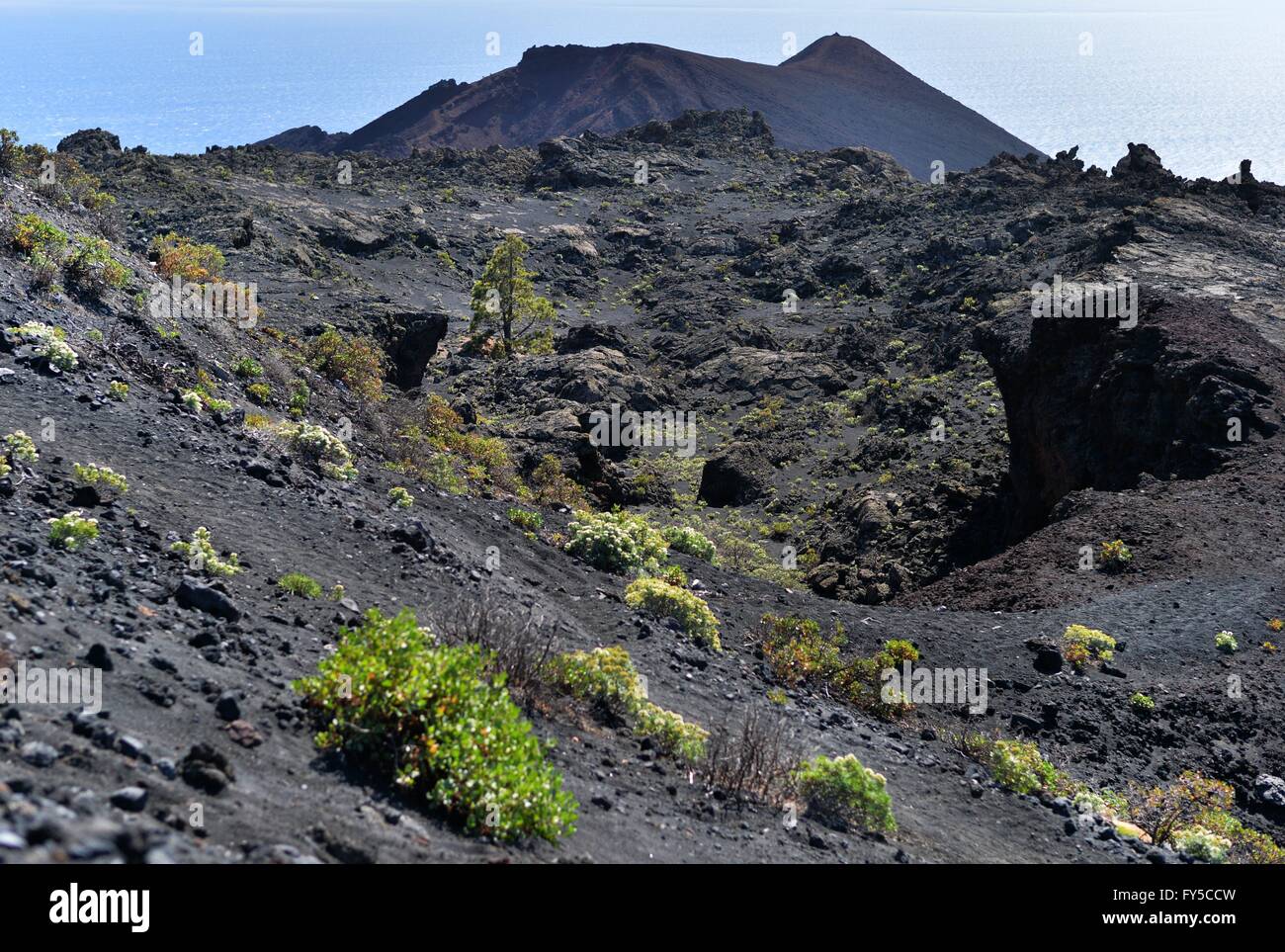 The Canary Islands are of  volcanic origin.  Some vulcans are still active nowadays. Stock Photo