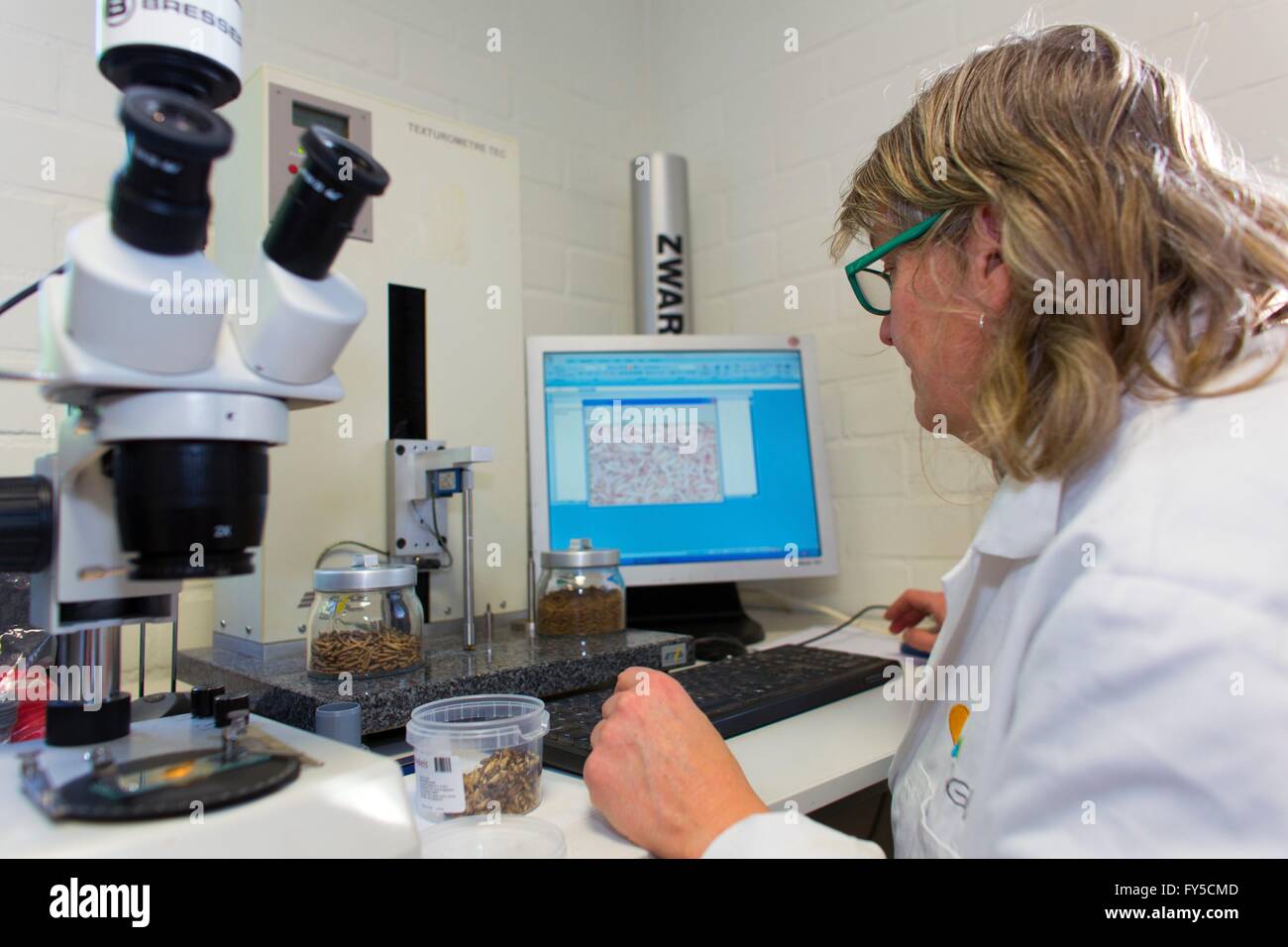 Microscope lab insects hi-res stock photography and images - Alamy
