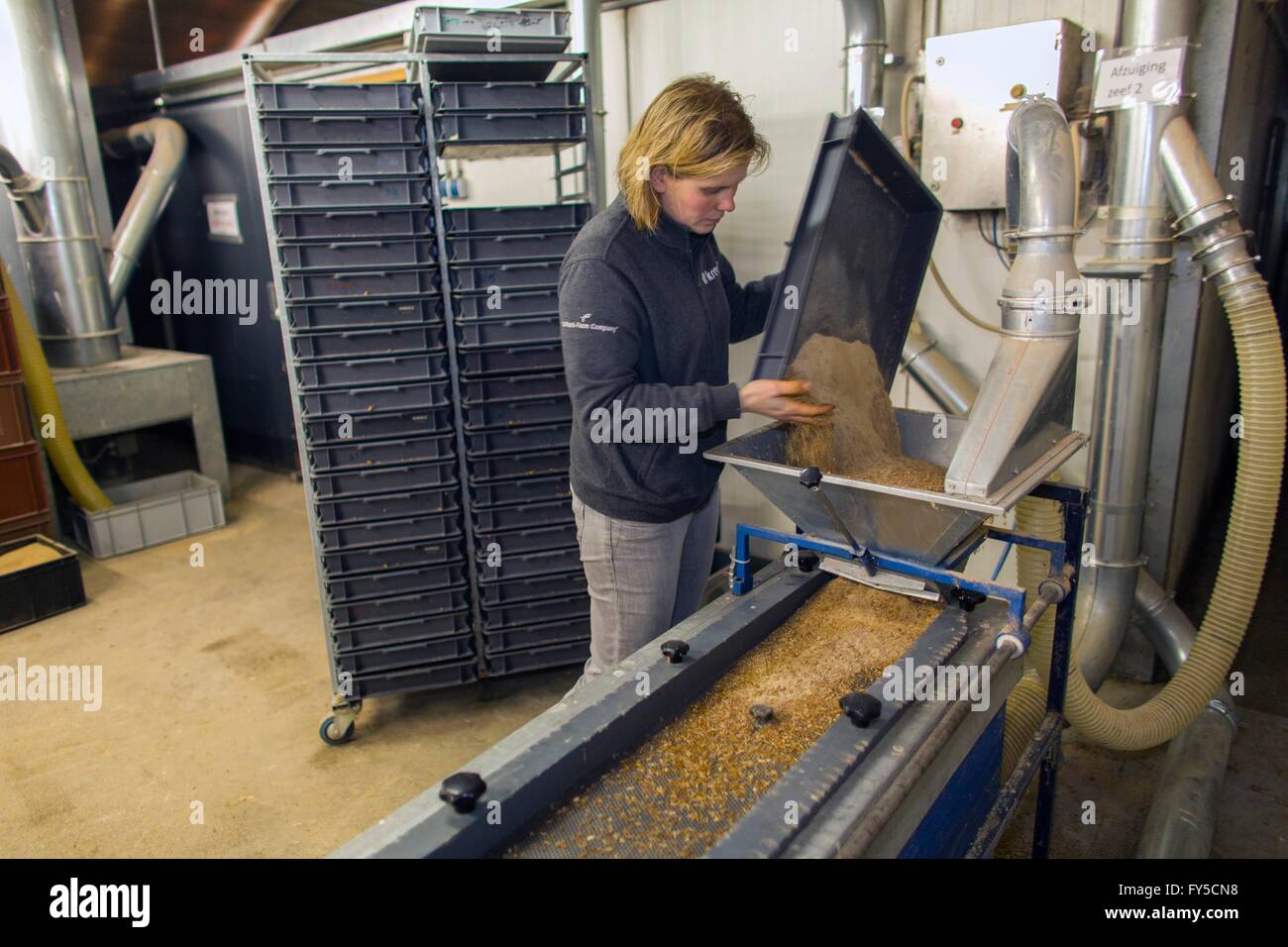 large scale production of edible insects in Holland Stock Photo - Alamy