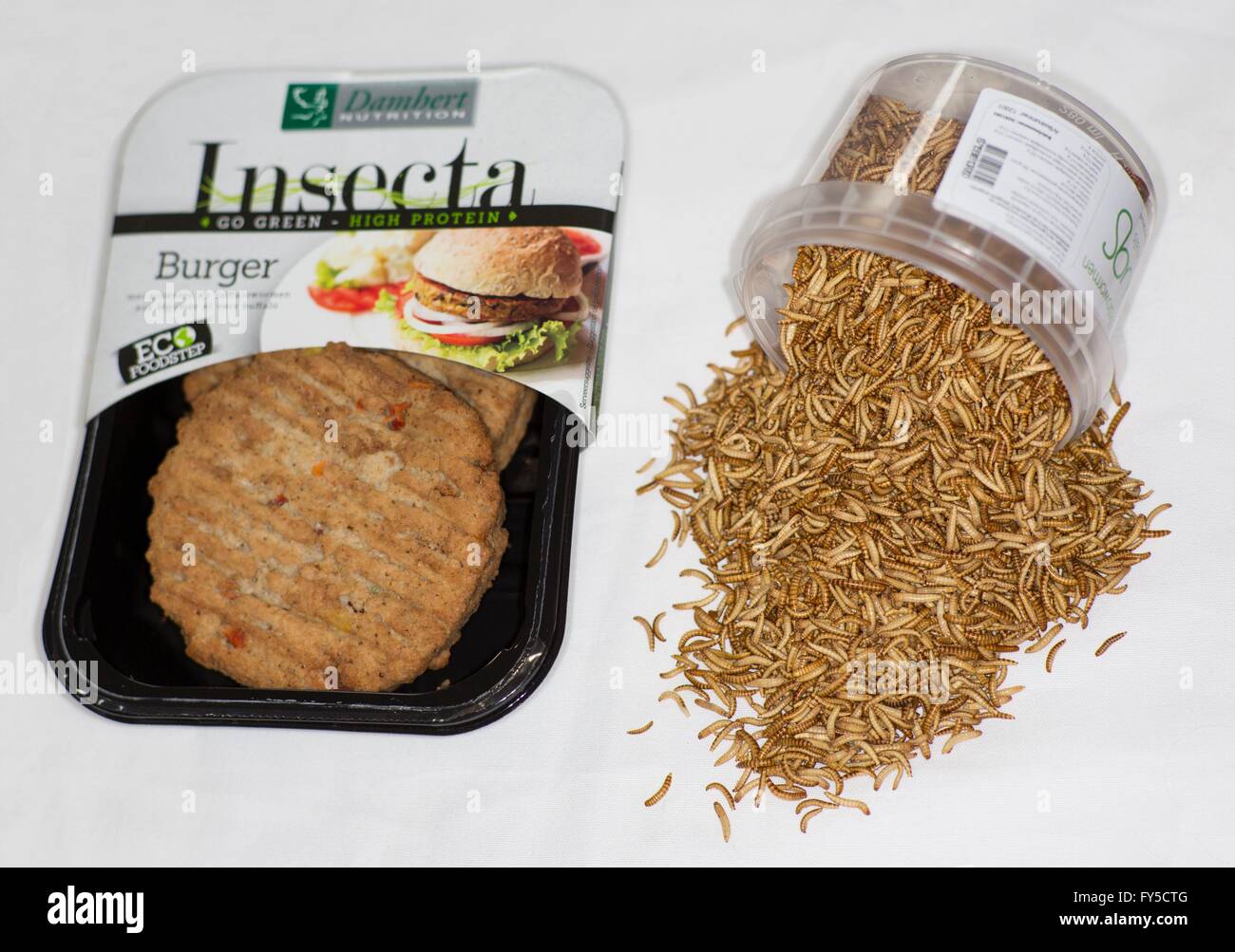 large scale production of edible insects (mealworms) in Holland Stock