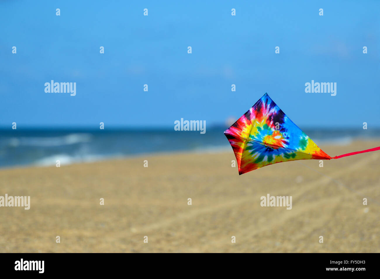 Kite at the beach Stock Photo Alamy