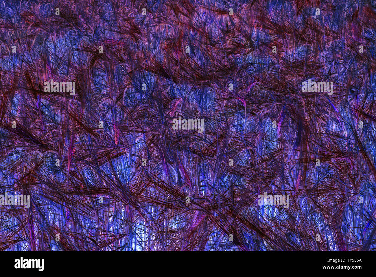 Abstract texture of dyed barley Stock Photo