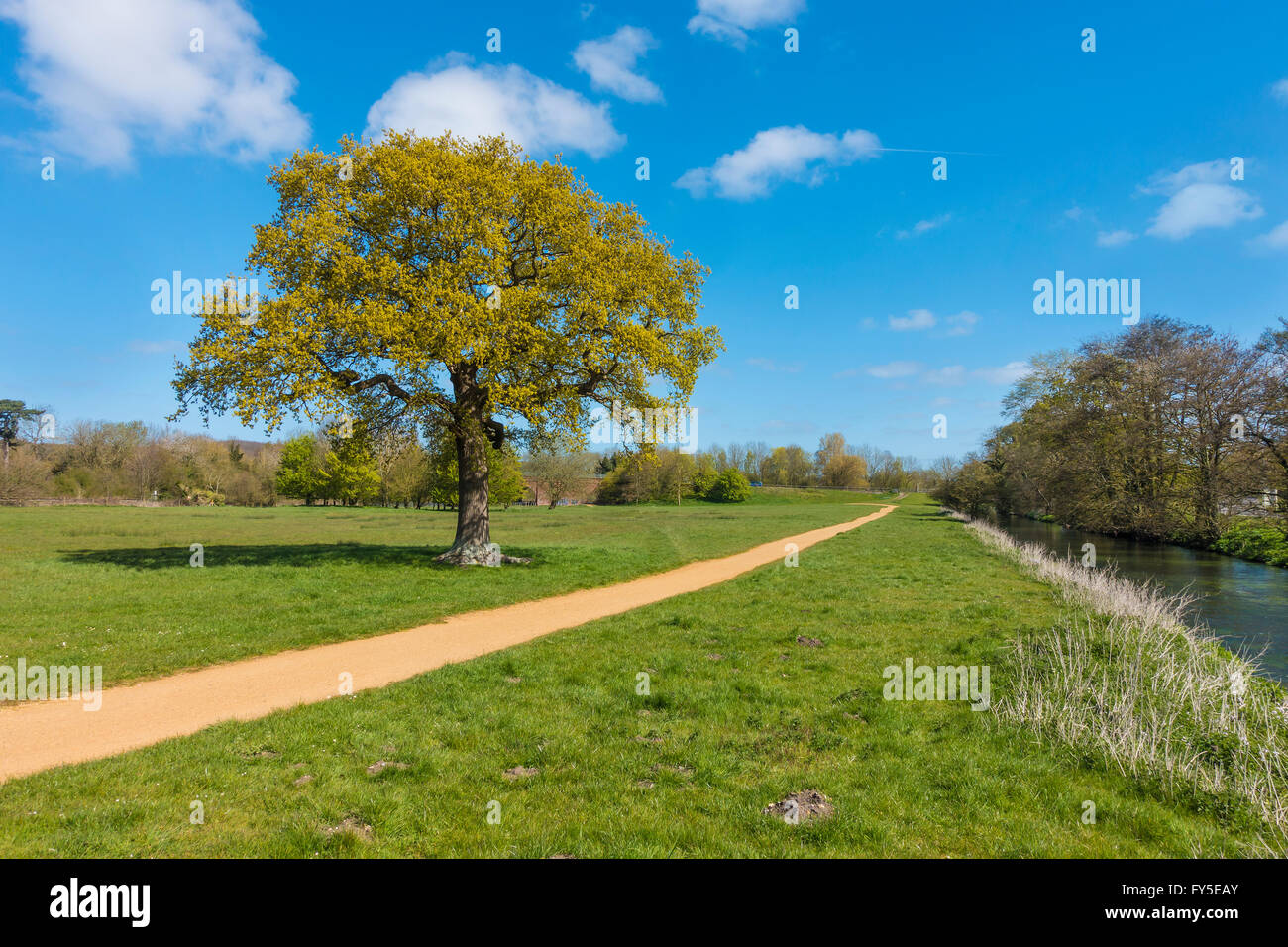 Cycle Trail Sustrans Canterbury to Chartham Riverside Route Stock Photo
