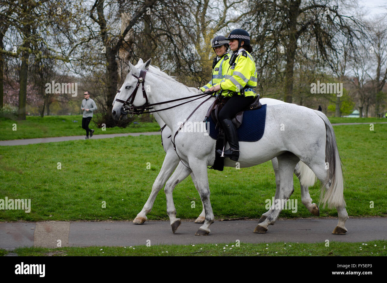 Mounted police women in London. Metropolitan Police on horseback patrolling in Hyde Park, wearing helmets on white horses Stock Photo