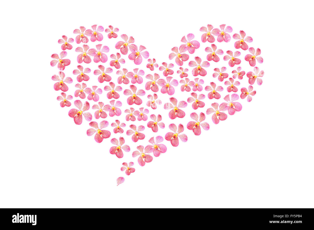 Floral heart shape on white background Stock Photo - Alamy