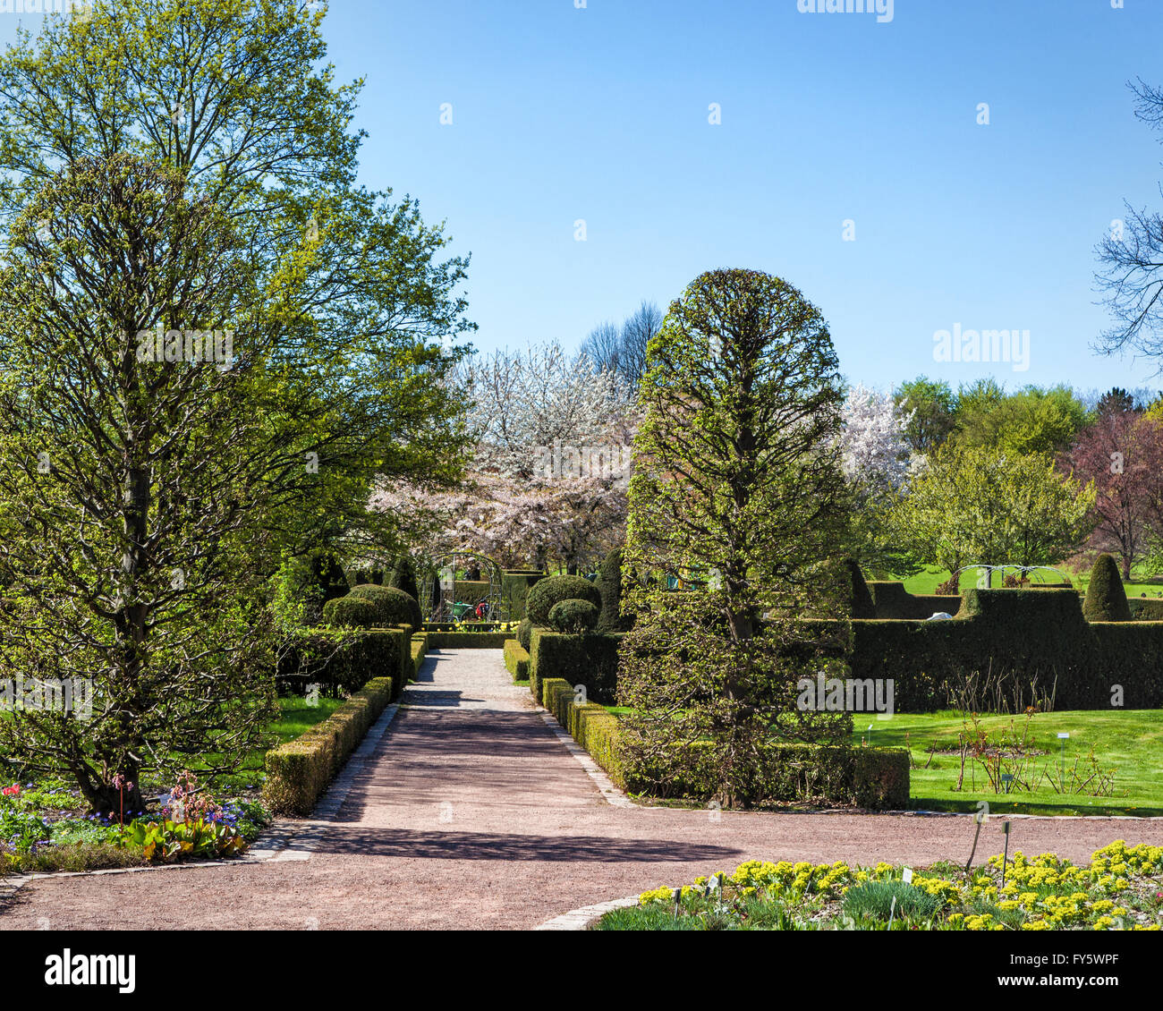 Tulipan show hires stock photography and images Alamy