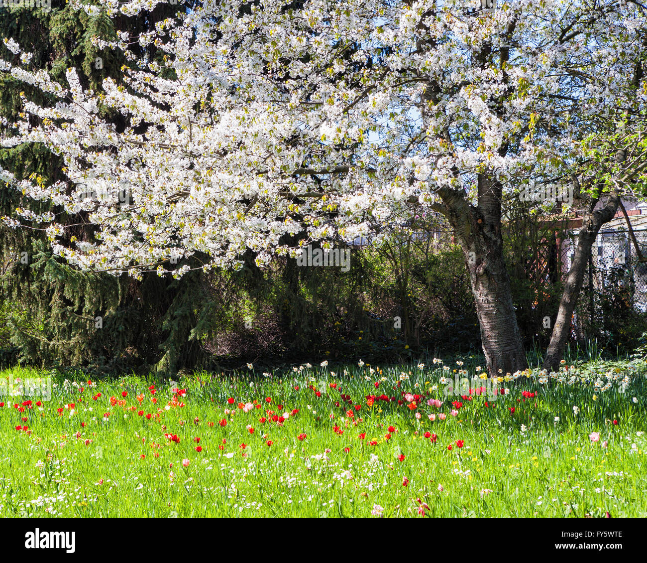 Britzer Garten, Neukölln, Berlin, Germany. 21st April 2016. Berliners