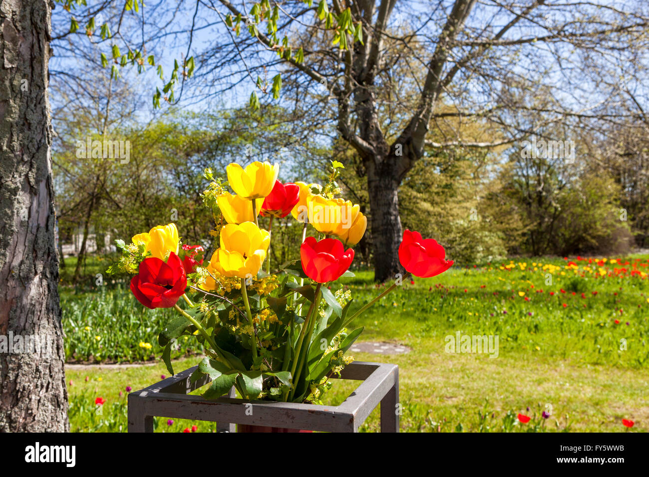 90 hectare park hires stock photography and images Alamy