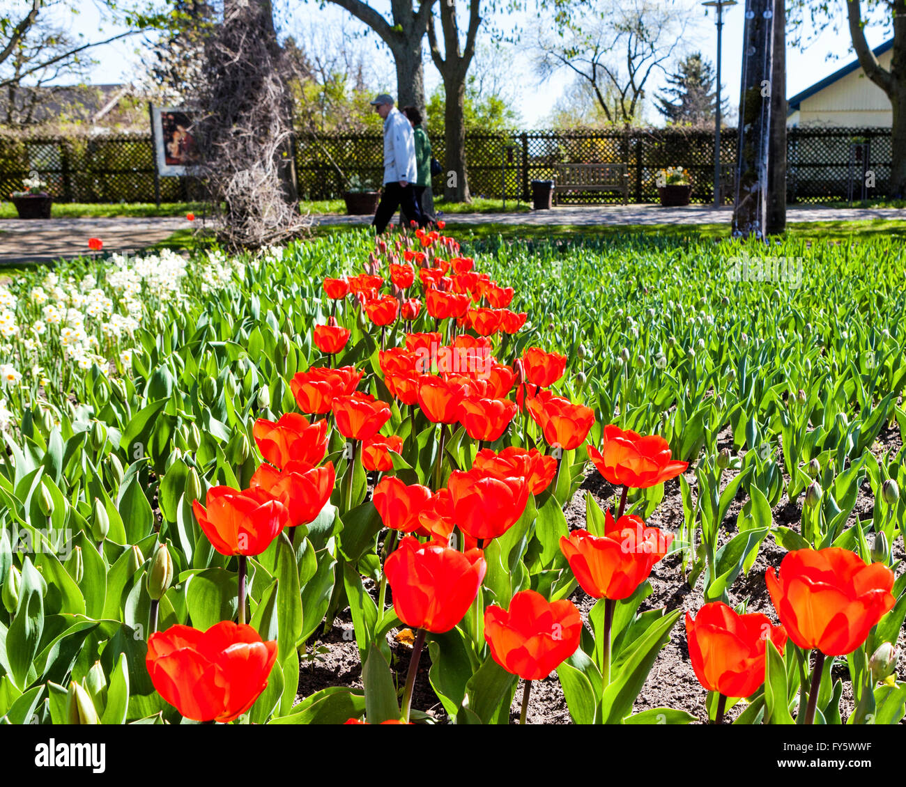 Britzer Garten, Neukölln, Berlin, Germany. 21st April 2016. Berliners