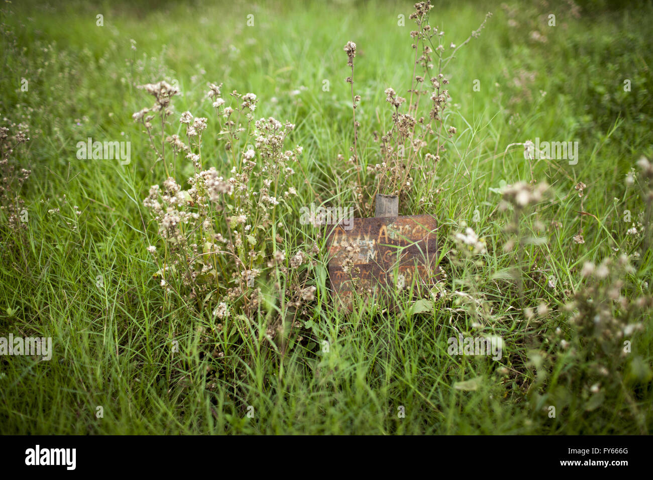 Actionaid High Resolution Stock Photography and Images - Alamy