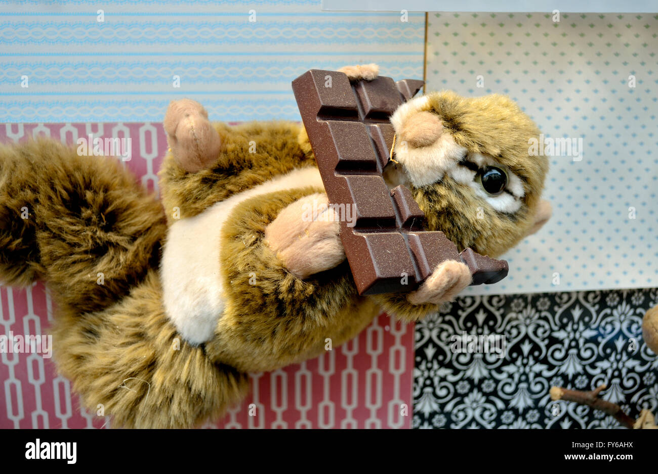 Prague, Czech Republic. Shop window display - squirrel eating a chocolate bar. May contain nuts. Stock Photo