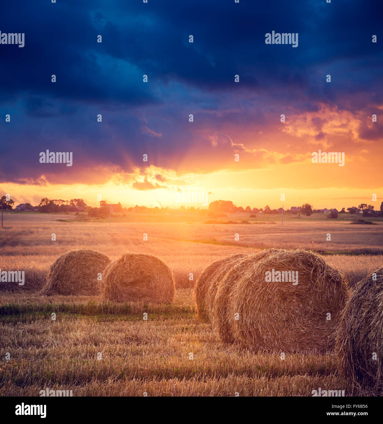 Summer Farm Scenery with Haystacks. Sunset View Stock Photo - Alamy