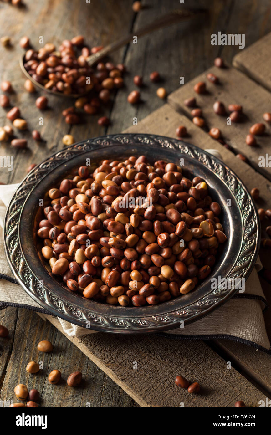 Raw Dry Organic Fava Beans in a Bowl Stock Photo Alamy
