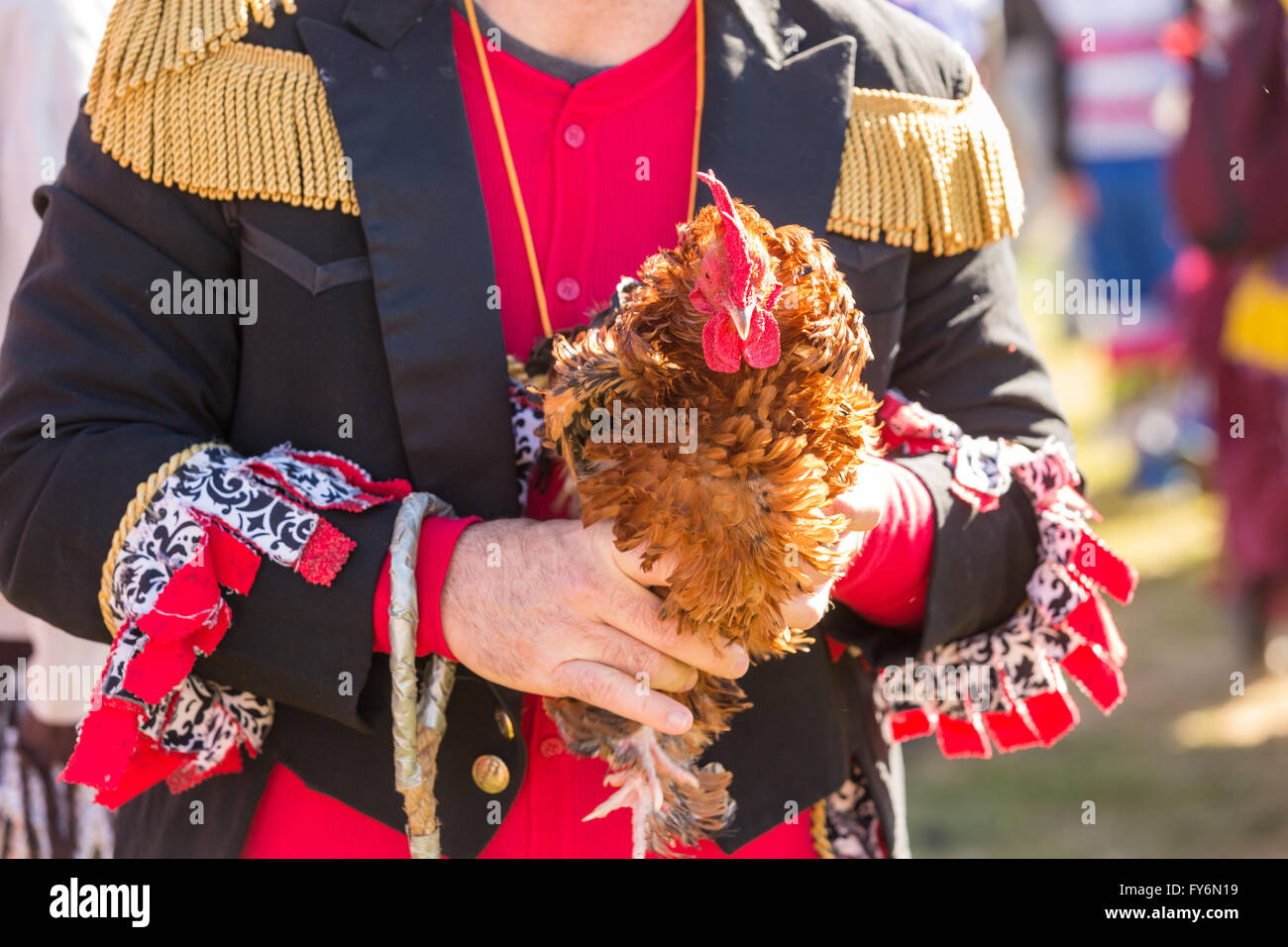 mardi gras chicken run 2025