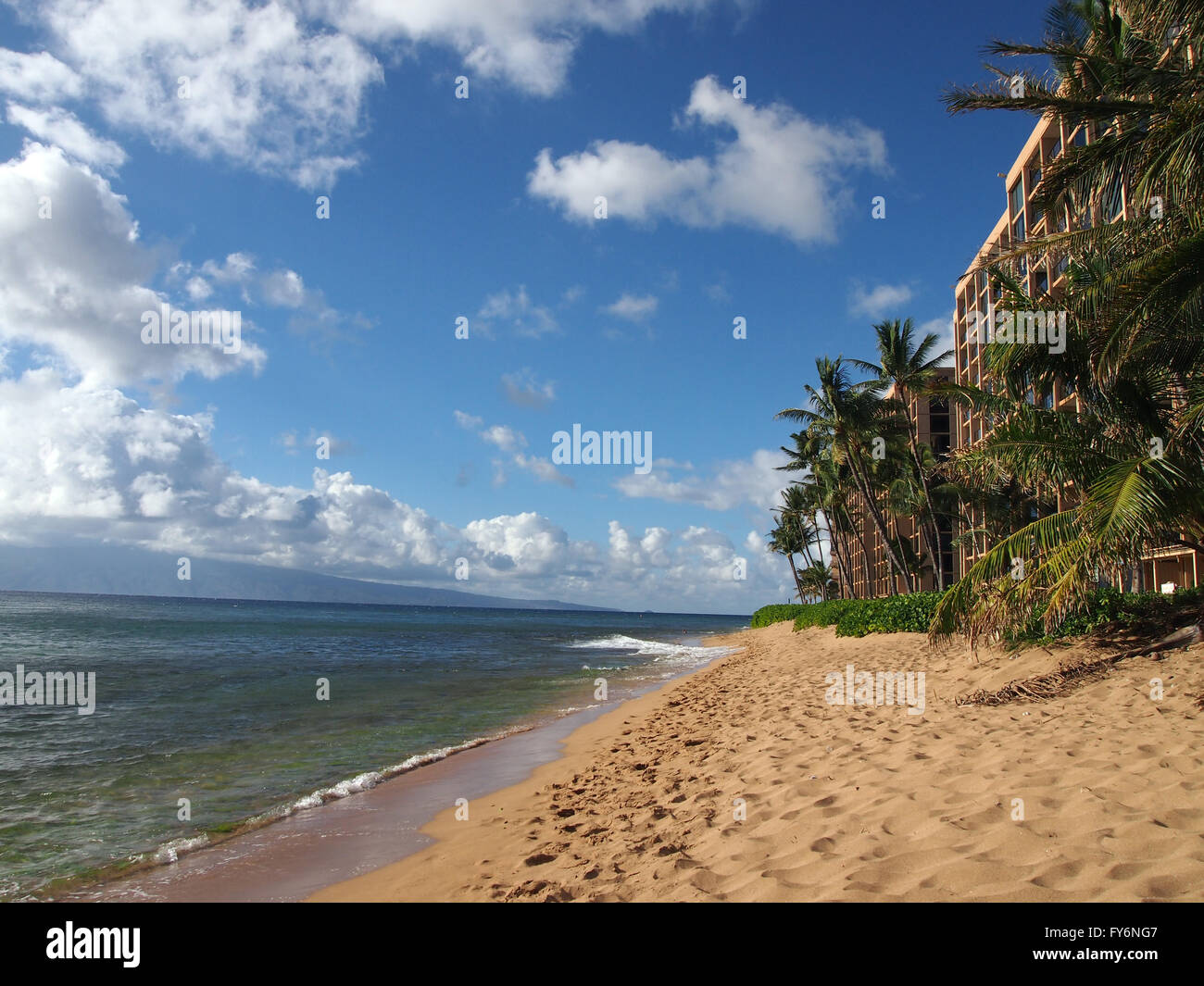 Kaanapali Beach with gentle waves crashing on the sand and Coconut trees, and napaka bushes. Island of Lanai can be seen in the Stock Photo