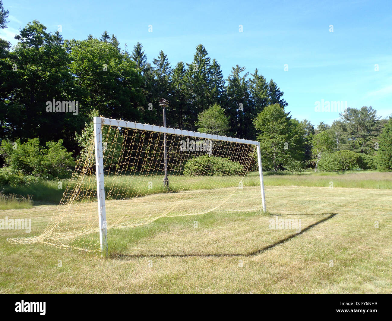 Soccer Goal with net in grassy field in Maine Stock Photo Alamy